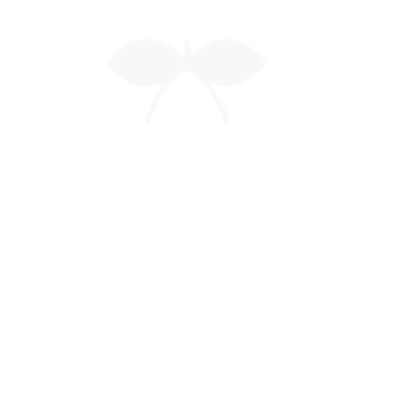 Pacha Ibiza